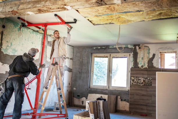Best Insulation Replacement Services  in Hampden Sydney, VA