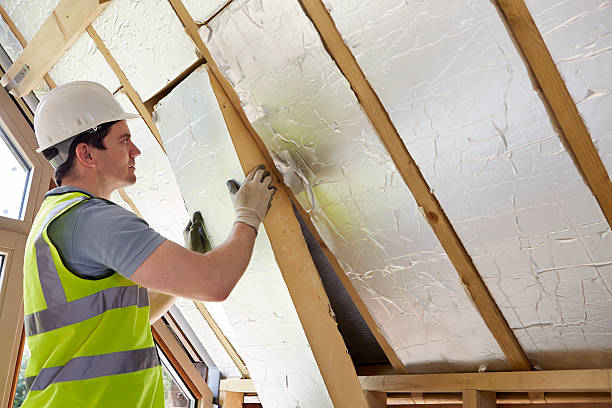 Best Soundproof Insulation Installation  in Hampden Sydney, VA